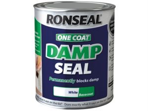 One Coat Damp Seal White 2.5 Litre