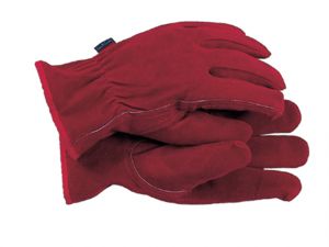 TGL103M Premium Leather Gloves Ladies' - Medium